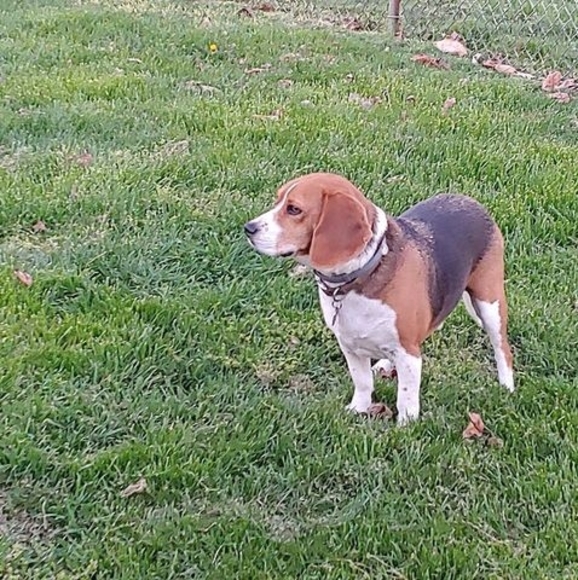 Meet your Posher, Charlene - Picture 1 of 1